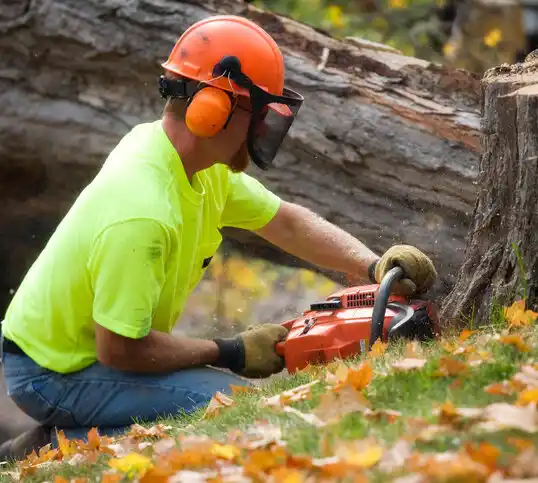 tree services Carencro